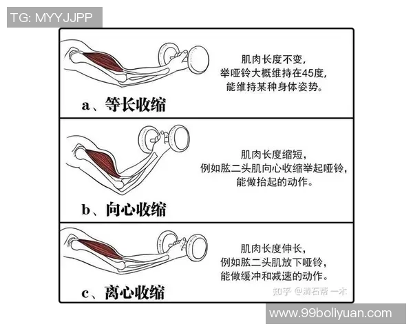 广州羽毛球队耐力训练的深度分析与实践探索