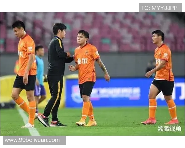 武汉极限运动队意识表现的深度数据分析与探讨