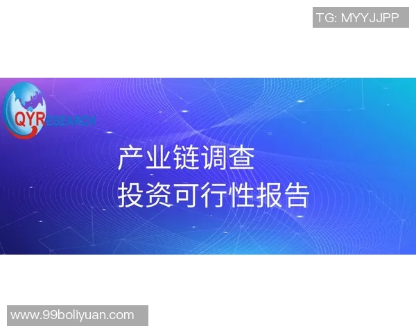 独家解析当前LNG市场动态与未来发展趋势的全面对比分析